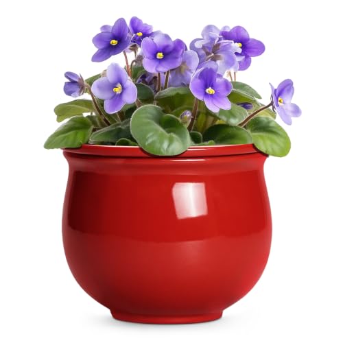 Teagas 8 Inch Ceramic Self Watering Pots with Absorbent Inner Pot, Red