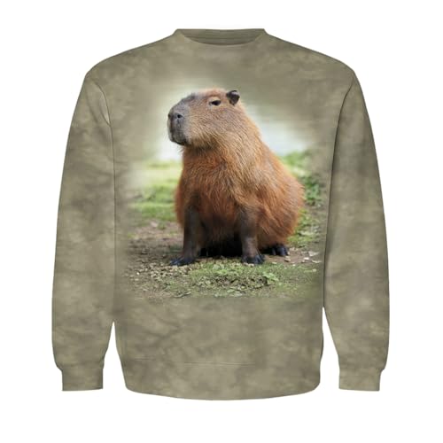 San Diego Zoo Capybara Sage Green Tie-Dyed Kids Sweatshirt, Cotton