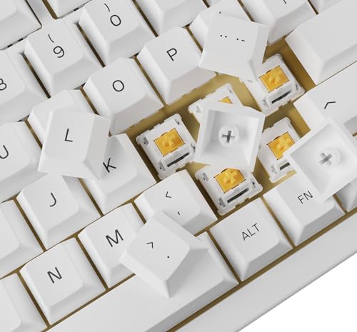 Capuchons de touches GPBT Glorious Gaming profil Cherry PBT Arctic White US