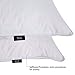 puredown® Goose Feather Down Blend Soft and Flat Pillow for Sleeping Cotton Cover, Queen Size, Set of 2
