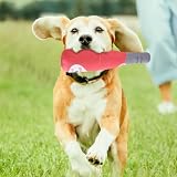Zimoer Hundespielzeug Quietschend Plüsch, Quietschspielzeug Hund, Gefüllte Sektflasche 22 cm, Quietschendes Spielzeug für Welpen, Kleine und Mittlere Hunde, Haustiere