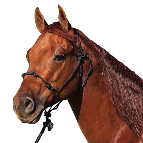 Dura-Tech Rope Control Halter for Horses w/13.5 Lead | Provides Optimal Control | Adjusts to Fit Various Breeds | Includes Durable 13.5' Lead | Soft Yet Heavy-Duty Poly Rope