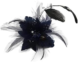 Black Fascinator Clip, Ladies Feather Beak Clip Fascinator, Black Brooch Pin Hair Accessory, Weddings, Races (Black)