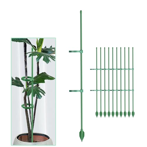 LicoShin 10pcs/30cm Plant Support Stakes, with 20pcs Height-adjustable Clips, 10pcs Anti-fallout floor plug Garden Sticks for Monstera deliciosa, Orchid, Amaryllis, Roses etc