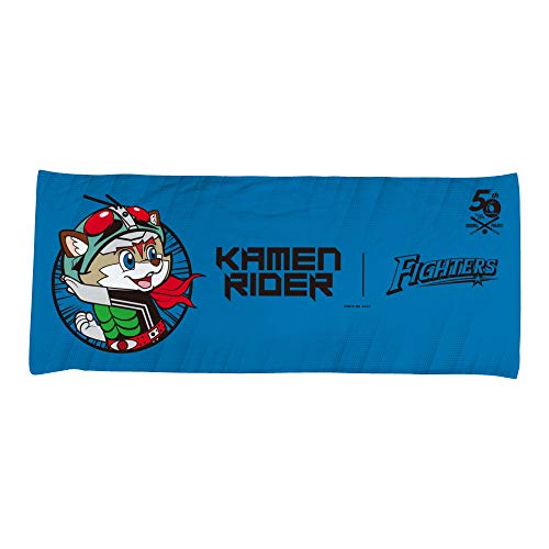 ʃC_[/kC{nt@C^[Y nCubhtFCX^I(ϐg)