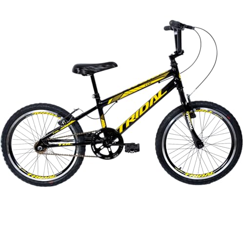 Bicicleta Infantil Aro 20 Bmx Cross Tridal Bike Freios V-Brake (Preto)