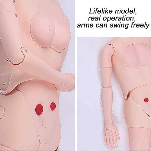 Ganzkörper-Mannequin für medizinischen Unterricht und Patientenpflege-Ausbildung