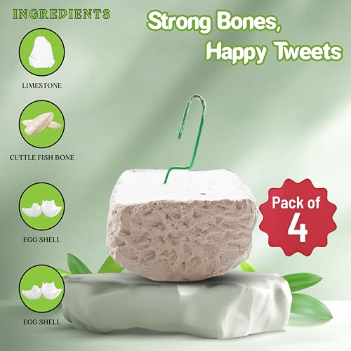 CONGO - NATURAL PARROT TREAT High Calcium Block for Birds | Bird Food and Supplement | Easy to Digest for Finch, Budgies, Lovebirds, Cockatiels, Conures, and Other Birds(Pack of 4-200 Gm)