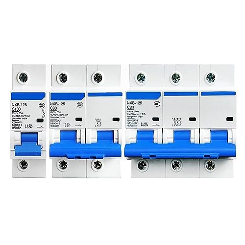 Disjoncteur type C 2P 80A pour sécuriser les circuits de climatisation - 3