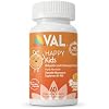 VAL Kids Magnesium | Calm + Focus Formula | 100mg Mg Glycinate, Citrate, Taurate + B6, D3, C | Sugar-Free, Non-GMO | Fun Chewable Tablets | Orange Flavor | 60 Ct Pack of 2