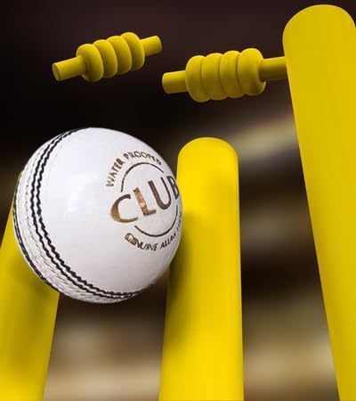 Image of Leather Cricket Ball | Hand Stitched Leather Ball for Practice, Match, and Training | Durable, Water Resistant, Professional Cricket Ball for Club and Academy Use (Pack of 1, White)