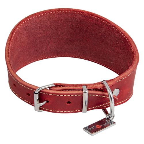 Collier pour Lévrier Jack and Vanilla protégeant le cou du chien 48cm