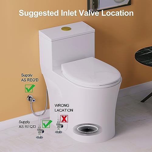 Horow T0338WG One Piece Toilet With Gold Button thumb #7