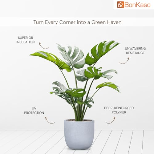 Image of BonKaso 12 inch White Pot - Tall, Durable & Lightweight Polymer Jaguar Round Planter for Indoor & Outdoor Use: Home, Office, Garden & Balcony (Gamla /Gamale)