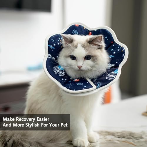 1 Stück Soft Cat Cone Collar Soft Cat Recovery Collars & Cones Pet Recovery Collar Verstellbarer Anti-Lick Cat Recovery Collar Nach der Operation schützender niedlicher kleiner Katze Wundheilung Recov