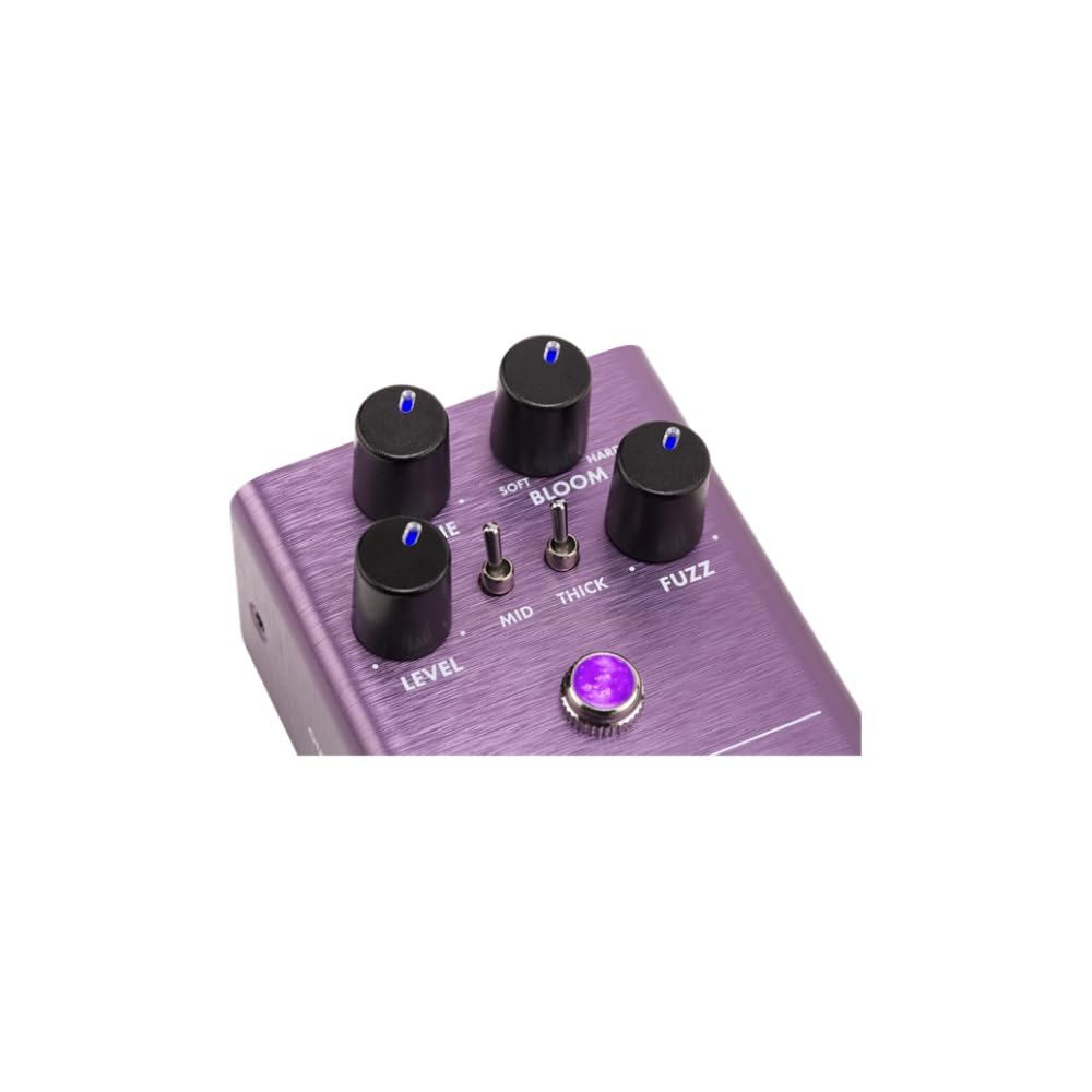 Amazon.com: Fender The Pelt Fuzz Pedal : Musical Instruments
