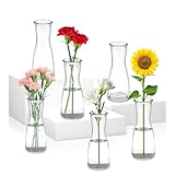 Staranry 6 Pezzi Set di Piccoli Vaso, Vaso di Fiori Piccolo, Design Aderente Alla Vita, Trasparente, per Composizioni Floreali, Centrotavola, Fai da te,per Soggiorno, Decorazione per Feste