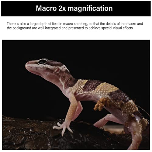 Astrhori 28Mm F13 2X Macro Probe Lens Full Frame Specialty Lens Built-In Ring Light For Sony E Mount Mount Series Mirrorless Cameras A7,A7R,A7S,A9,A6000,A6300,A6500,A6600.Etc(Black) #TOP3