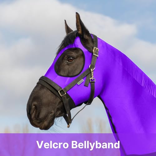Image of RESISTANCE Premium Horse Sleazy Full Body Slicker with Zipper Face & Forelock Saver Horse Care Sheet