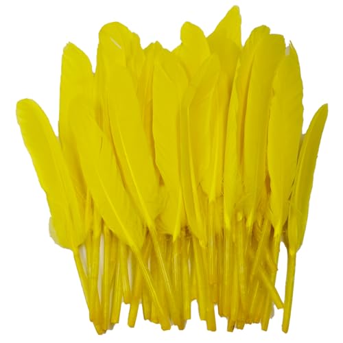 pson 130Pcs 4-6 Inch Natural Goose Feathers Bulk Natural Feathers for DIY Crafts Wedding Party Halloween Decorations Cosplay Gothic Costumes(Yellow)