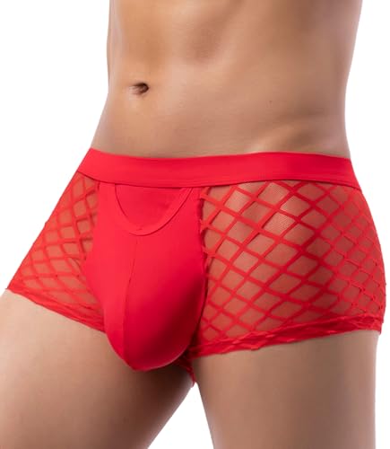 SEAUR Men's Sexy Bulge Boxer Briefs See Through Lace Underwear Breathable Mesh Underpants Low Rise Pouch Trunks