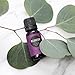 Edens Garden Relaxation Essential Oil Blend- 100% Pure Premium Grade, Undiluted, Natural, Therapeutic, Aromatherapy, The Best for Skin, Candle, Humidifiers 30 ml (1 fl oz)