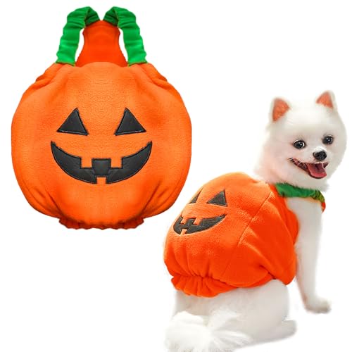 PETCARE Funny Pumpkin Dog Halloween Costume Pet Dog Cat Thick Plush Pumpkin Decoration Shirt Clothes for Small Medium Dogs Cats Puppy Cute Halloween Party Cosplay Dress Up Outfits