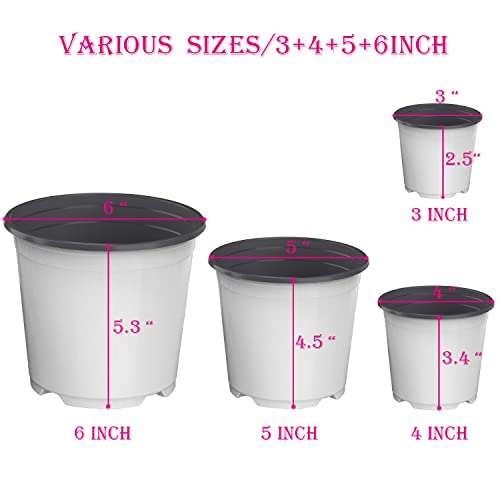 Raookif 36 Pcs Nursery Pots Variety Pack, 3 4 5 6 Inch Seedling Pots With Drainage Holes Plastic Seed Starting Pots Gardening Pot For Flower, Herb, Bonsai, Succulent (White-3+4+5+6 Inch) #TOP1