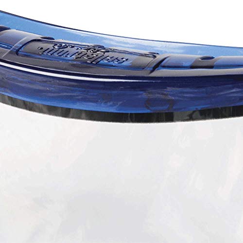 Sellstrom Odyssey Ii Safety Goggles For Eye Protection, S80201, Anti-Fog, Scratch-Resistant, Latex-Free Protective Eye Shield For Men And Women With Dual Panel Clear Lens, Blue Frame, S80201 #TOP4