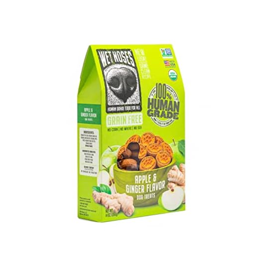 Wet Noses Organic Crunchy Dog Treats Grain Free – All-Natural, Human-Grade, Non-GMO, Healthy Training & Delicious Snacks for Dogs, for All Dog Sizes & Breeds – Apple & Ginger, 14oz (Single Pack)