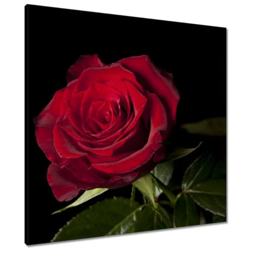 Peinture imprimée sur toile 70 x 70 cm tableau déco Belle rose