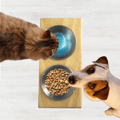 Comedouro Pinus Para Gatos Pet Elevado Com 2 Potes Inox