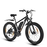 SPATIAL E Bike, E-Bike Herren mit 26 * 4.0' Fat Tire, 48V13AH Akku, Bis zu 150 KM, 85Nm 250W Motor, Offroad Ebike Mountainbike mit Vollfederung, 7-Gang, All-Terrain Elektrofahrrad Herren, EU-Konformes