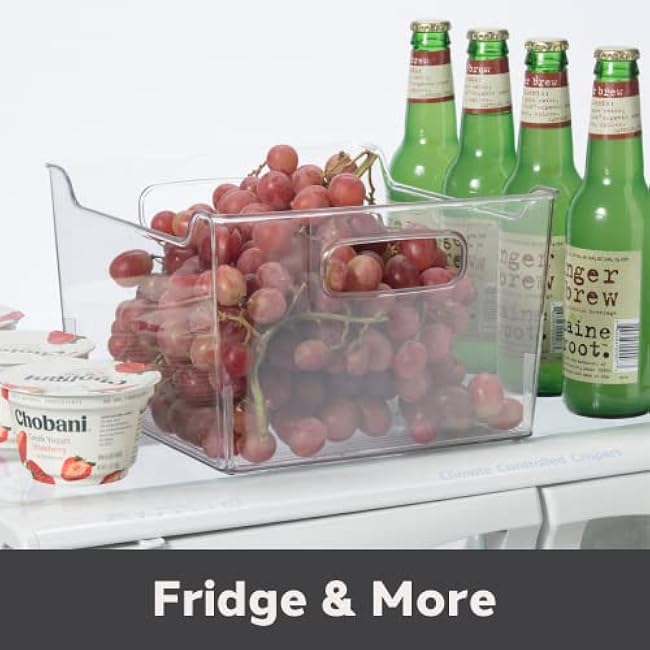 Oggi Storage Bin With Handles - Deep (9.75 x 9 x 6) - Ideal for Kitchen Organization, Pantry Storage, Fridge Organizing, Clear