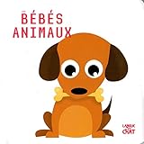LANGUE AU CHAT
