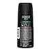 AXE Apollo Body Spray Deodorant For Long-Lasting Odor Protection, Sage And Cedarwood Deodorant For Men Formulated Without Aluminum 4.0 Oz (Pack of 12)