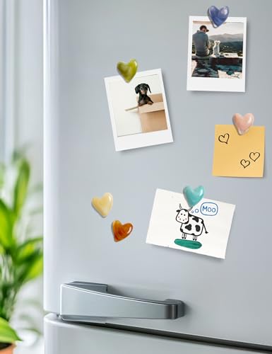 image for Mymazn 12Pcs Fridge Magnets Cute Refrigerator Magnet, Colorful Magnets