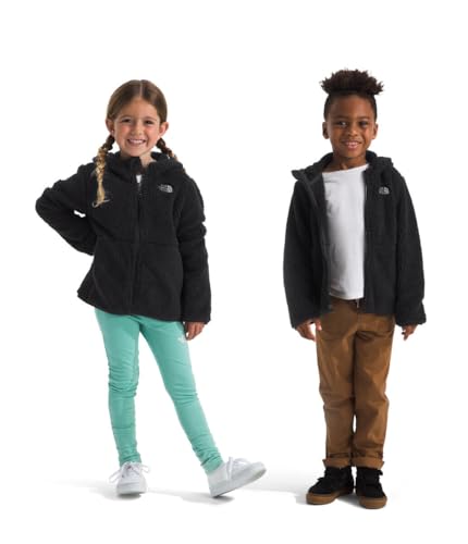 Image of The North Face Baby Campshire Full Zip Hoodie (Toddler)