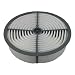 Pentius PAB6821 UltraFLOW Air Filter