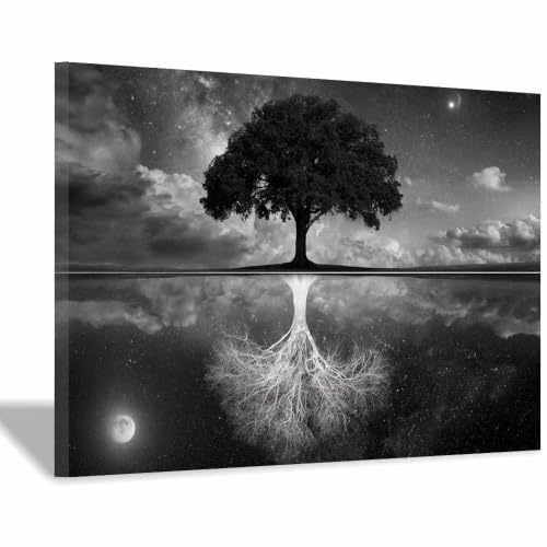 Poster noir et blanc réflexion de l'eau affiche décoration bureau chambre 40x60 encadrée