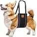 Pet Friendz Dog Lifting Harness for Rear Legs - Dog Sling for Back Legs, Rehabilitation Sling Harness, Dog Lift, Hip Support Harness to Help Lift Dogs Rear for Canine Aid - Medium Breed