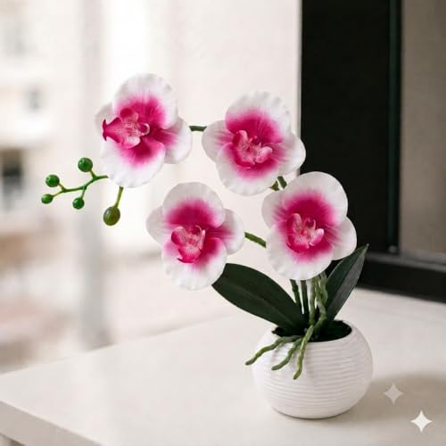Image of CURATED CART Artifical Orchid Flower Pot, Pink & White Flower with Vase, Ideal for Home Decor, Office Decor, Gifting, 4 Flower Heads, Size 36 x 9cm