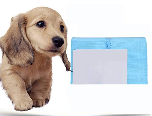 Tapis de dressage pour chiots contre les fuites et les mauvaises odeurs