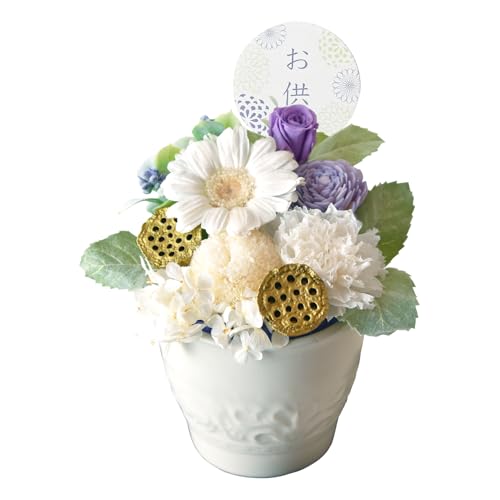 Ԃ̃Mtg  vU[uht[ vU[uh Mtg ~ ފ  䕧O