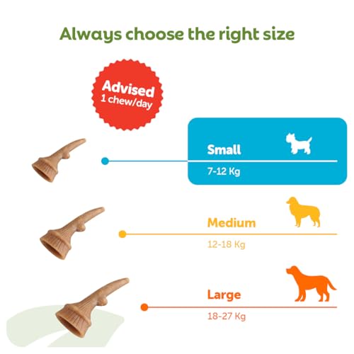 WHIMZEES Antler S, 24 Pièces – Taille S, Friandises pour Chiens de Petite Taille, Naturelles & sans Céréale, Végétariennes, sans Sucre Ajouté