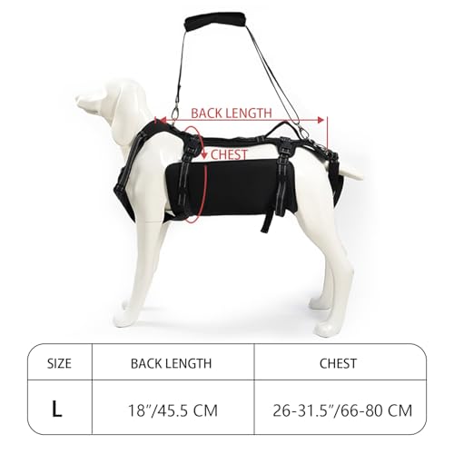 COODEO Dog Lift Harness, Full Body Support & Recovery Sling, Pet Rehabilitation Lifts Vest Adjustable Breathable Straps for Old, Disabled, Joint Injuries, Arthritis, Paralysis Dogs Walk (Black, L) - Image 6