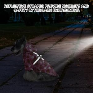 BEAUTYZOO Dog Raincoat Hooded with Harness Built-in for Small Medium Large Dogs Girls Boys, Dog Rain Jacket Slicker Poncho, Waterproof Dog Rain Coat Clothes for Winter Rainy Snowy Days, Pink XS BEAUTYZOO Dog Raincoat Hooded with Harness Built in for Small Medium Large Dogs Girls Boys Dog Rain Jacket Slicker Poncho Waterproof Dog Rain Coat Clothes for Winter Rainy Snowy Days Pink XS