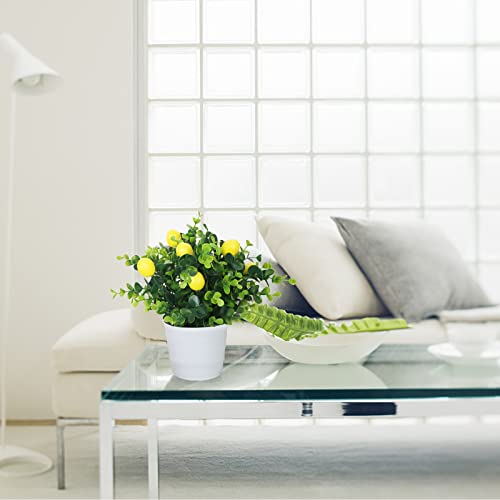Semononia Fake Lemon Plants With Pots - 2 Pcs Artificial Eucalyptus Plants Small Faux Plants Summer Centerpieces Decoration For Home Kitchen Dining Room Office Bathroom Table Decor #TOP5