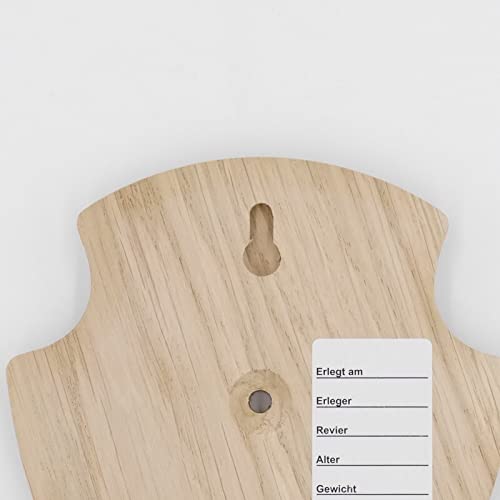 Generisch 5 carteles de trofeos REH en punta de roble claro pequeño AF 19 cm x 11 cm