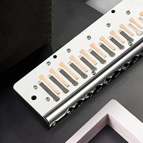 MEIeynt Harmonica diatonique en do, Harpe Blues Harmonica diatonique pour Orgue à Bouche clé en do 12 Trous Harmonica de… - Les Beatles, Paul McCartney, John Lennon, RIngo Starr, George Harrison MEIeynt Harmonica diatonique en do, Harpe Blues Harmonica diatonique pour Orgue à Bouche clé en do 12 Trous Harmonica de… – Image 4
